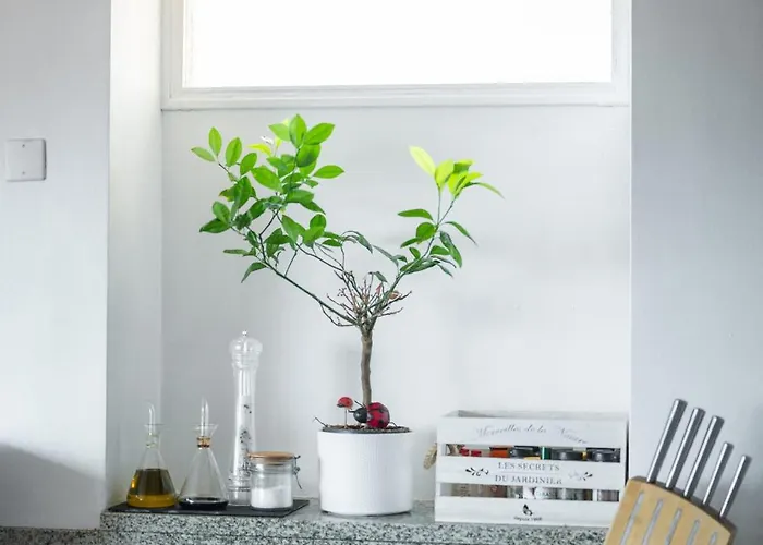 3 Pieces Avec Vue Sur Le Bastion *